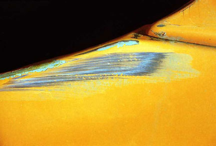 Can you Spell Revolution