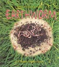THE LIFE CYCLE OF AN EARTHWORM