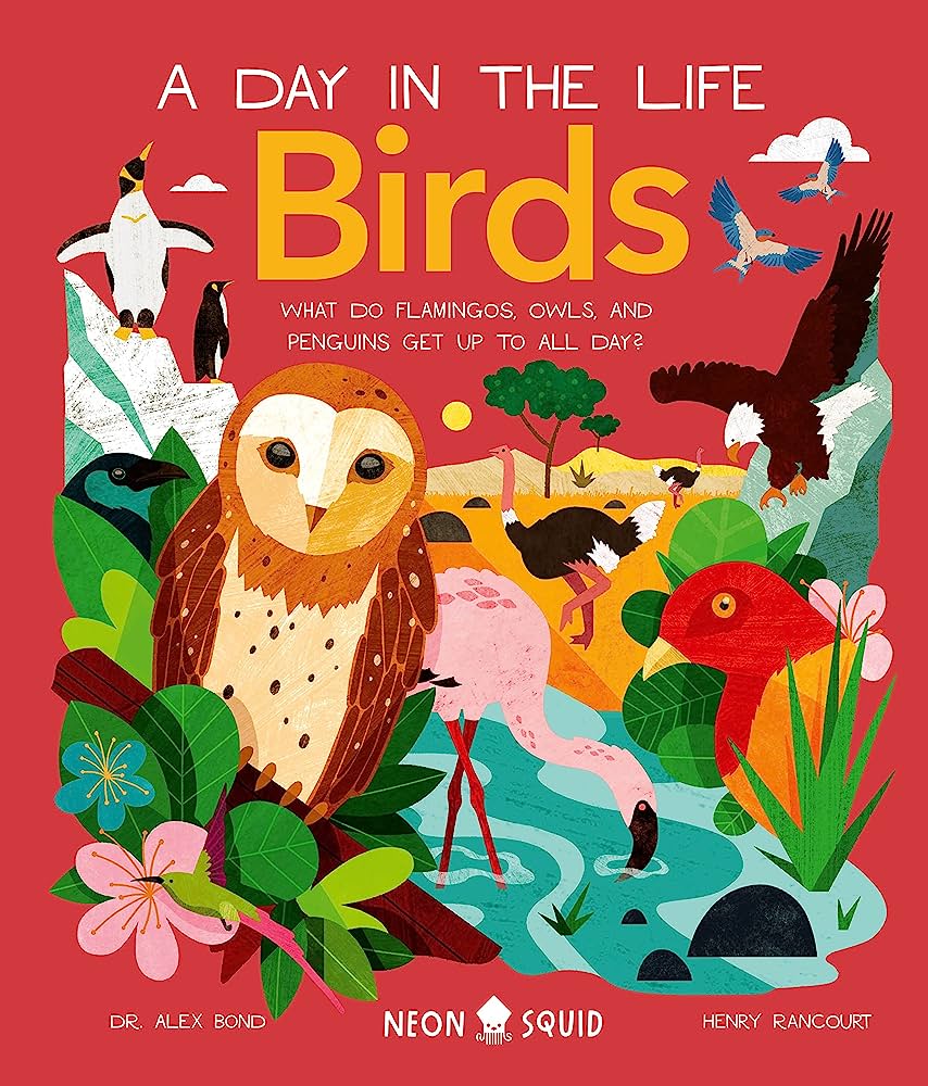 A Day in the Life of Birds: What Do Flamingos, Owls, and Penguins Get Up to All Day?