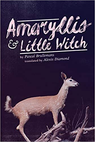 Amaryllis & Little Witch