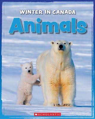 Animal Winter in Canada