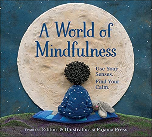 Cover of A World of Mindfulness 